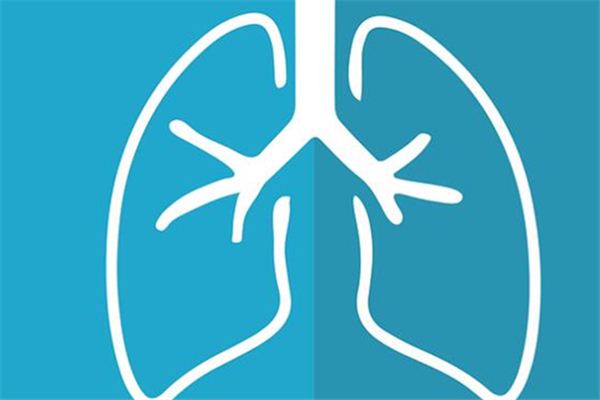 Die Bedeutung und das Symbol der Lunge in Träumen