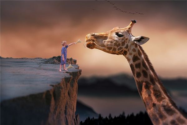 Die Bedeutung und das Symbol der Giraffe in Träumen