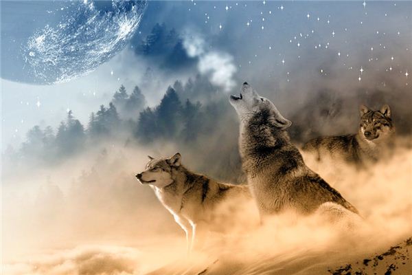 Die Bedeutung und das Symbol von Wölfen in Träumen