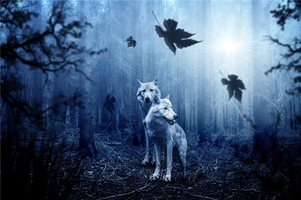 Die Bedeutung und Interpretation der Wölfe in Träumen