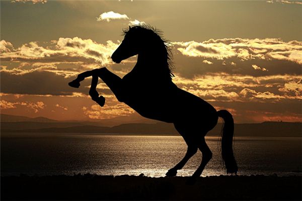 Die Bedeutung und Interpretation des Reitens eines dunklen Pferdes in Träumen