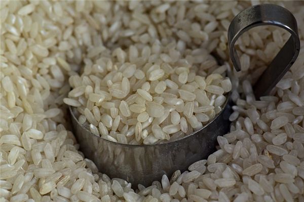 Traumdeutung und Wahrsagerei von Reis