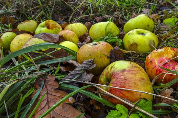 Traumdeutung und Weissagung von Lebensmittelverderb