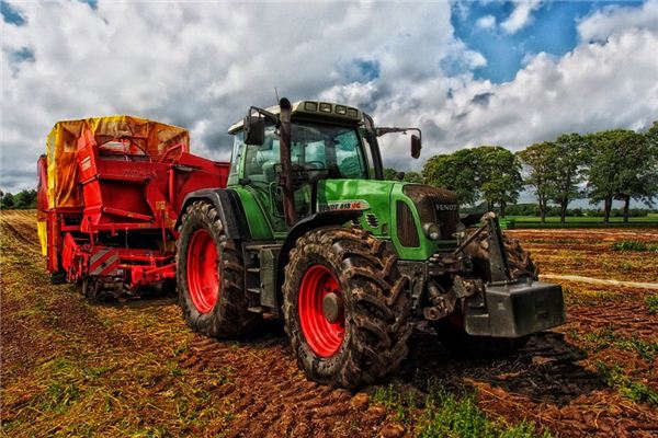 Traumdeutung und Wahrsagerei des Traktors