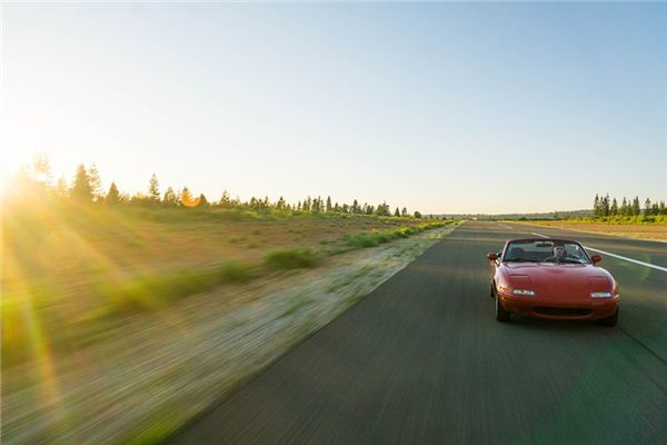 Traumdeutung und Wahrsagerei des Autos