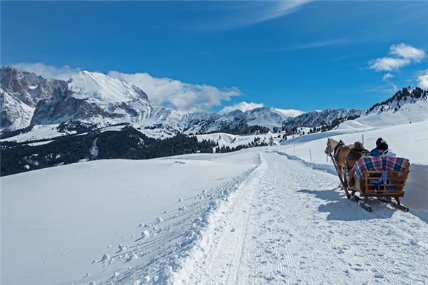 Traumdeutung und Wahrsagerei des zweirädrigen Wagens