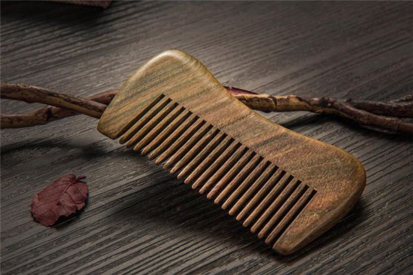 Traumdeutung und Weissagung von Holzkamm