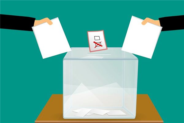 Die Traumdeutung der Wahlurne