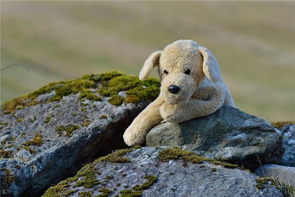 Die Bedeutung der Traumdeutung von Spielzeughund