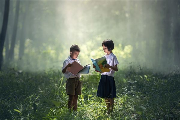 Traumdeutung über Bildung