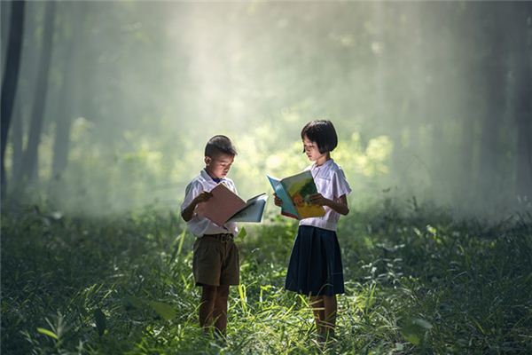 Traumdeutung nach einem Buch suchen