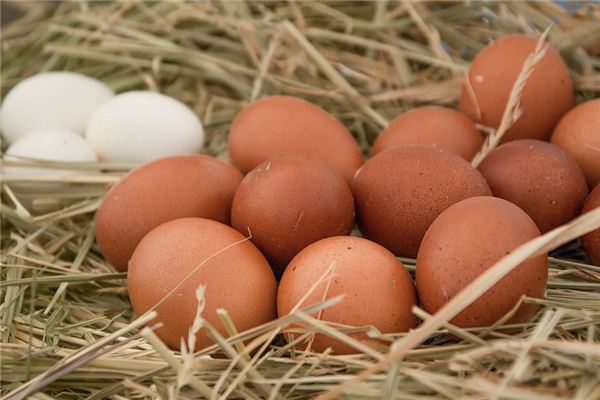 Traumdeutung von Huhn und Ei
