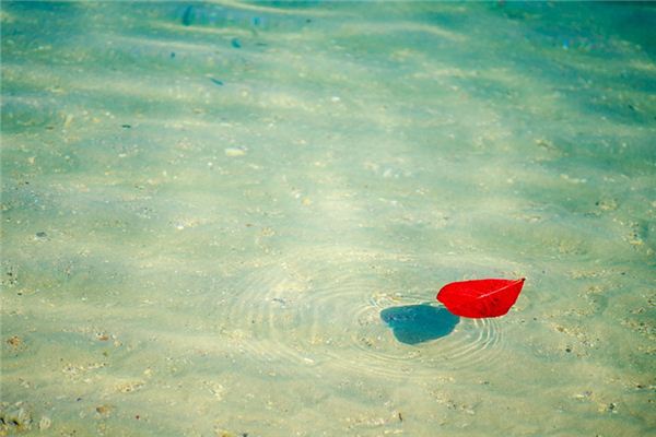 Traumdeutung des auf Wasserdrift
