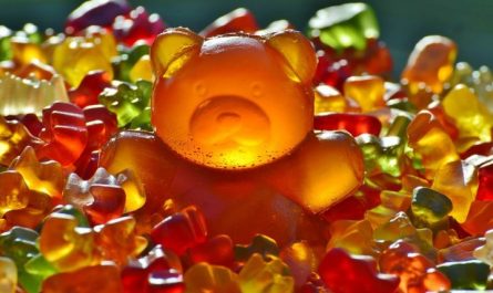 Traumdeutung von Bären: 33 Symbole und Bedeutungen