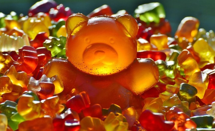 Traumdeutung von Bären: 33 Symbole und Bedeutungen