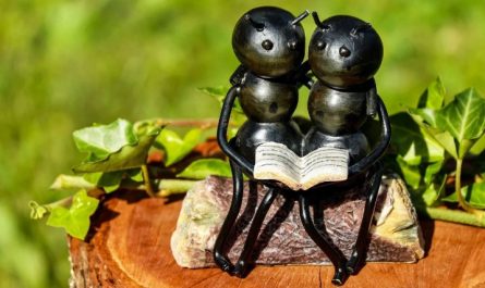 Traumdeutung von Ameisen: 36 Symbole und Bedeutungen