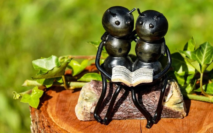 Traumdeutung von Ameisen: 36 Symbole und Bedeutungen
