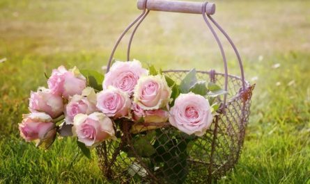 42 Traumdeutung Blumen