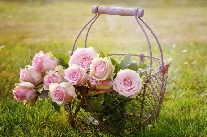 42 Traumdeutung Blumen