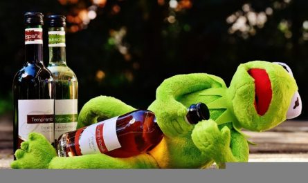 Traumdeutung Frosch