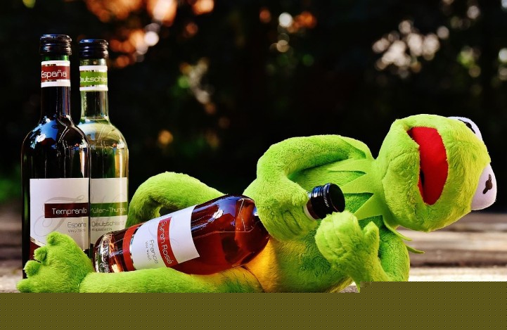 22 Traumdeutung Frosch