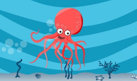 Traumdeutung des Oktopus - 15 Bedeutungen und Interpretationen