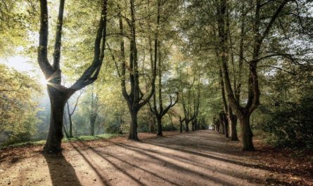 Traumdeutung: Sich verirren - 26 Bedeutungen und Interpretationen