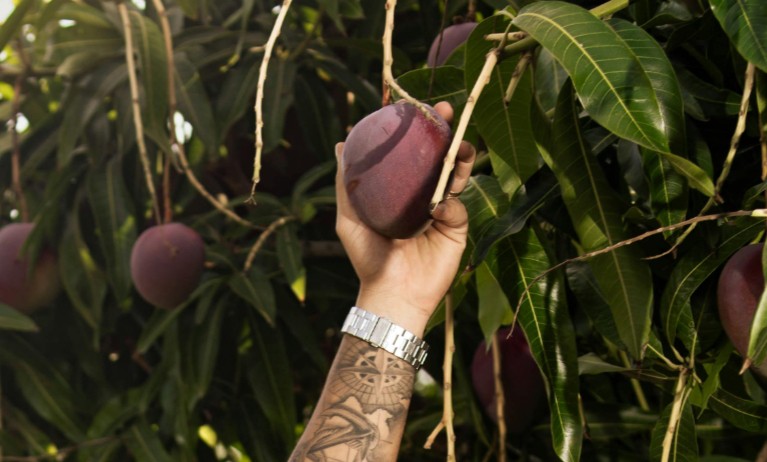 Traumdeutung des Fallens – 21 Bedeutungen und Interpretationen