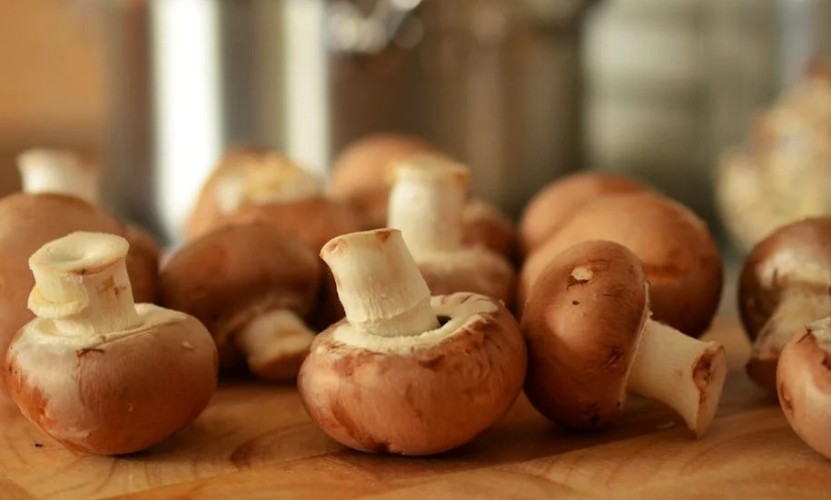 Traumdeutung von Pilzen – 21 Bedeutungen und Interpretationen