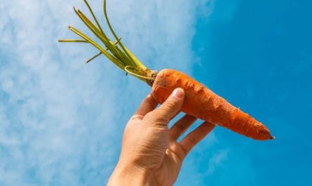 Traumdeutung Karotten - 23 Bedeutungen und Interpretationen