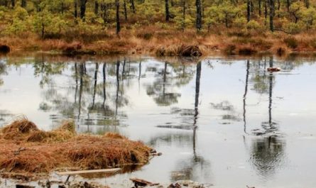 Traumdeutung von Erde – 39 Bedeutungen und Interpretationen