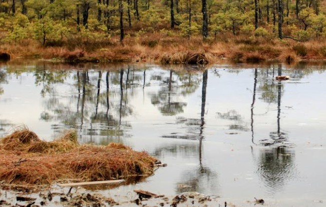 Traumdeutung von Erde – 39 Bedeutungen und Interpretationen