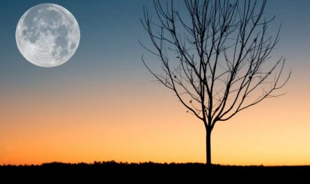 Traumdeutung Mond – 33 Bedeutungen und Interpretationen