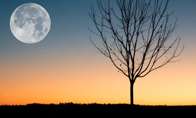 Traumdeutung Mond – 33 Bedeutungen und Interpretationen