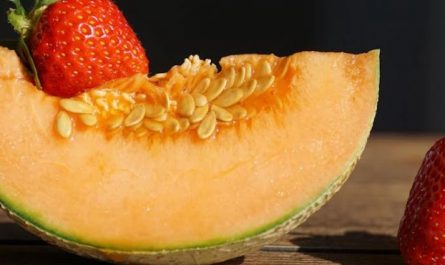Traumdeutung: Melone