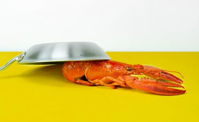 Traumdeutung: Hummer