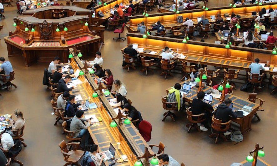 Die Bedeutung von Träumen über ein Auslandsstudium