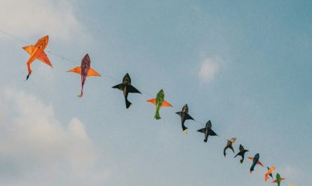 Die Bedeutung von Träumen über Drachen